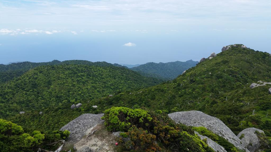Minnsyuku Yakushimaya Yakushima  Zewnętrze zdjęcie